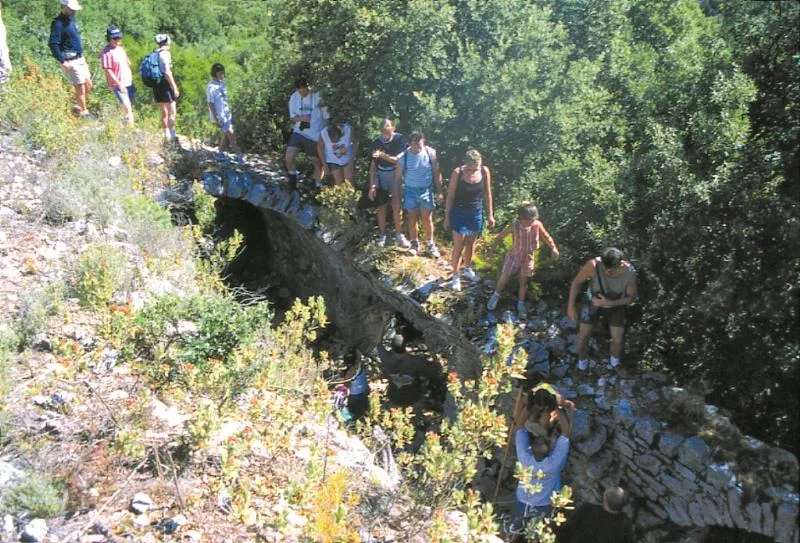 Sites et Paysages Les Pinèdes