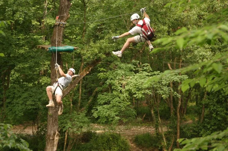 Sites et Paysages Les Pinèdes