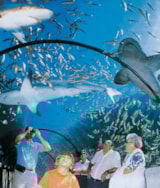 Foto #41 van Sites et Paysages Les Pinèdes