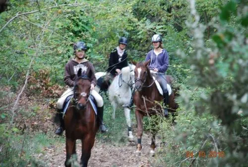 Sites et Paysages Les Pinèdes