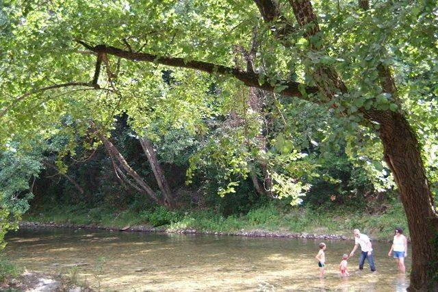 Sites et Paysages Les Pinèdes