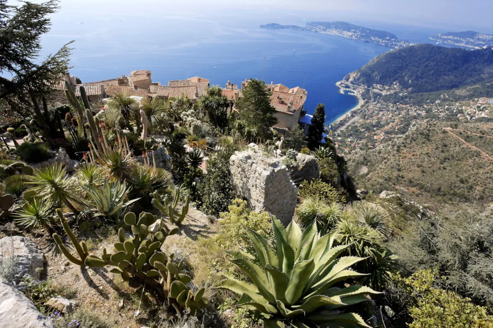 Sites et Paysages Les Pinèdes