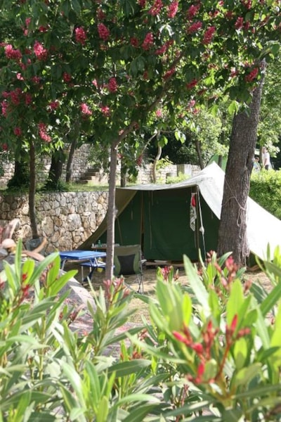 Nature pitch (without electricity) - 7m max rope/drawbar incl