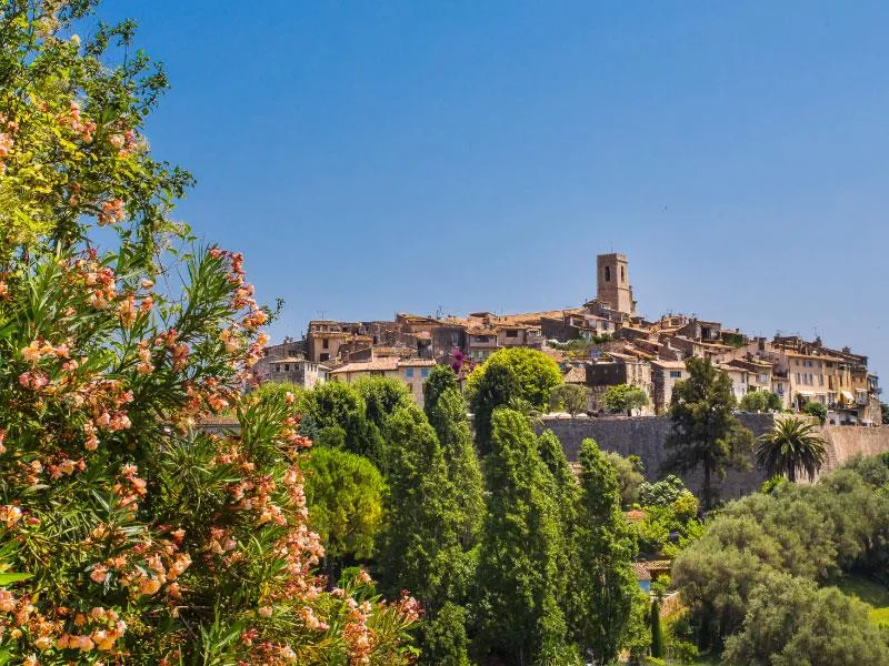 Sites et Paysages Les Pinèdes