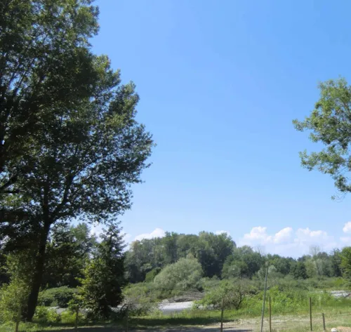 Pitch - Pitch + Vehicle - image n°7 - Camping Parc de la Dranse