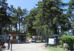 Establishment Camping Parc de la Dranse - Publier