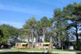 Foto #3 van Camping Parc de la Dranse