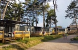 Foto #6 van Camping Parc de la Dranse