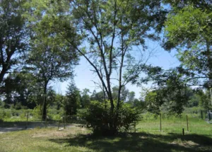Emplacement - Trekking Package + Tent - Camping Parc de la Dranse
