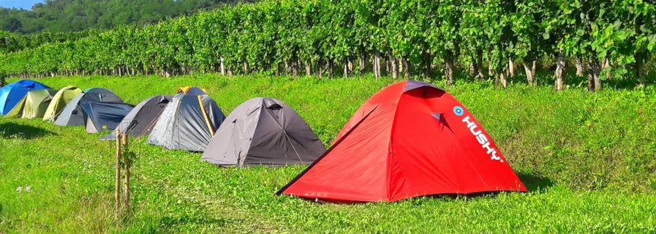 Saxida Wine & Camping Resort