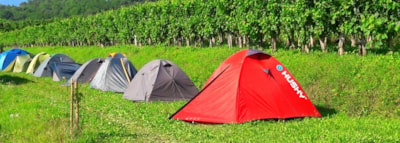 Saxida Wine & Camping Resort