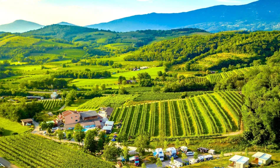 Saxida Wine & Camping Resort