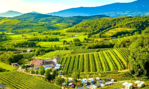 Saxida Wine & Camping Resort