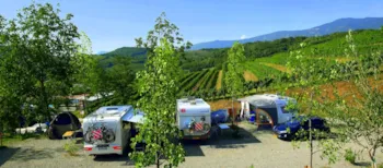 Pitch - Pitch - Camping Saksida