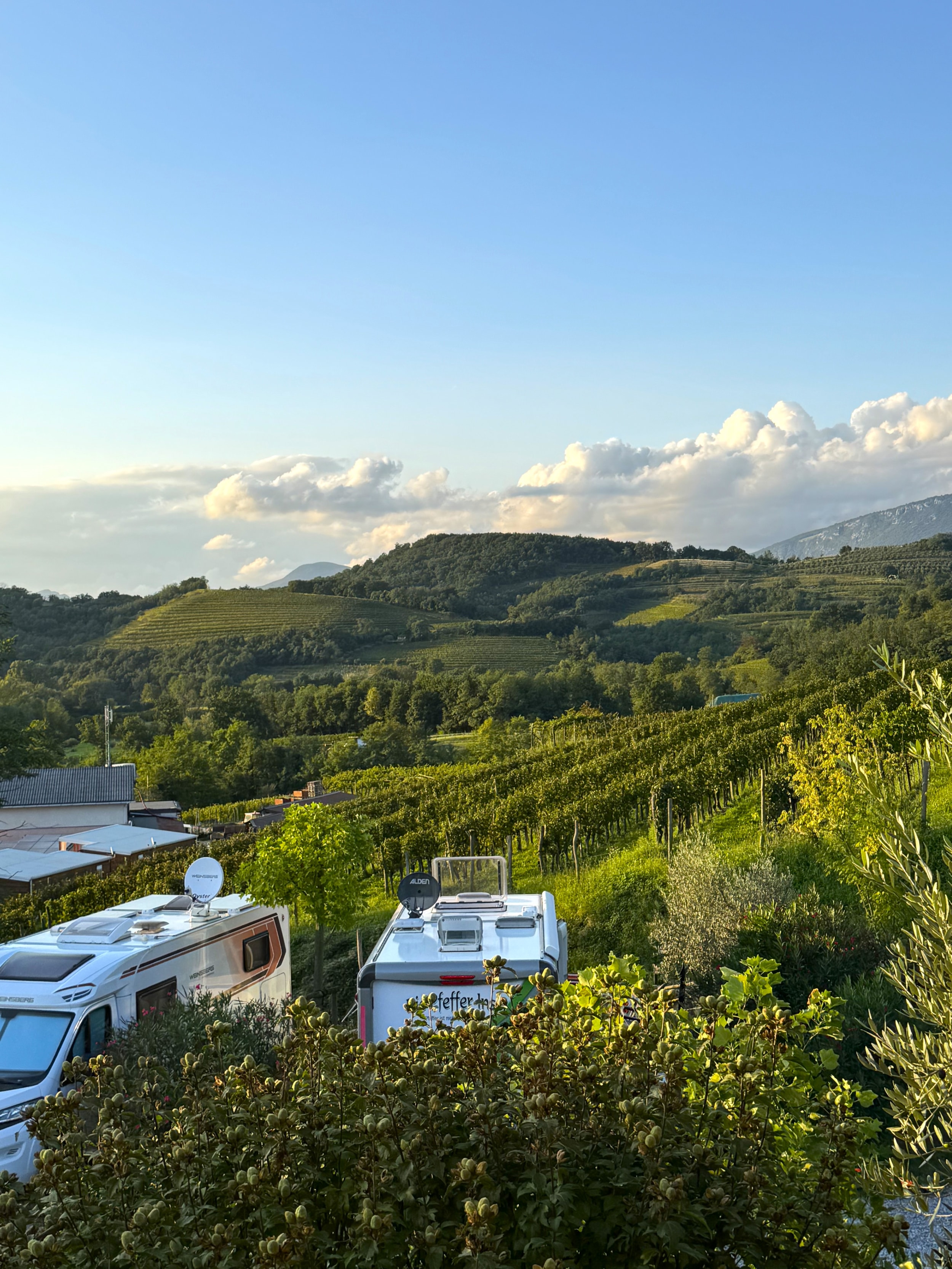 Saxida Wine & Camping Resort — Foto 4