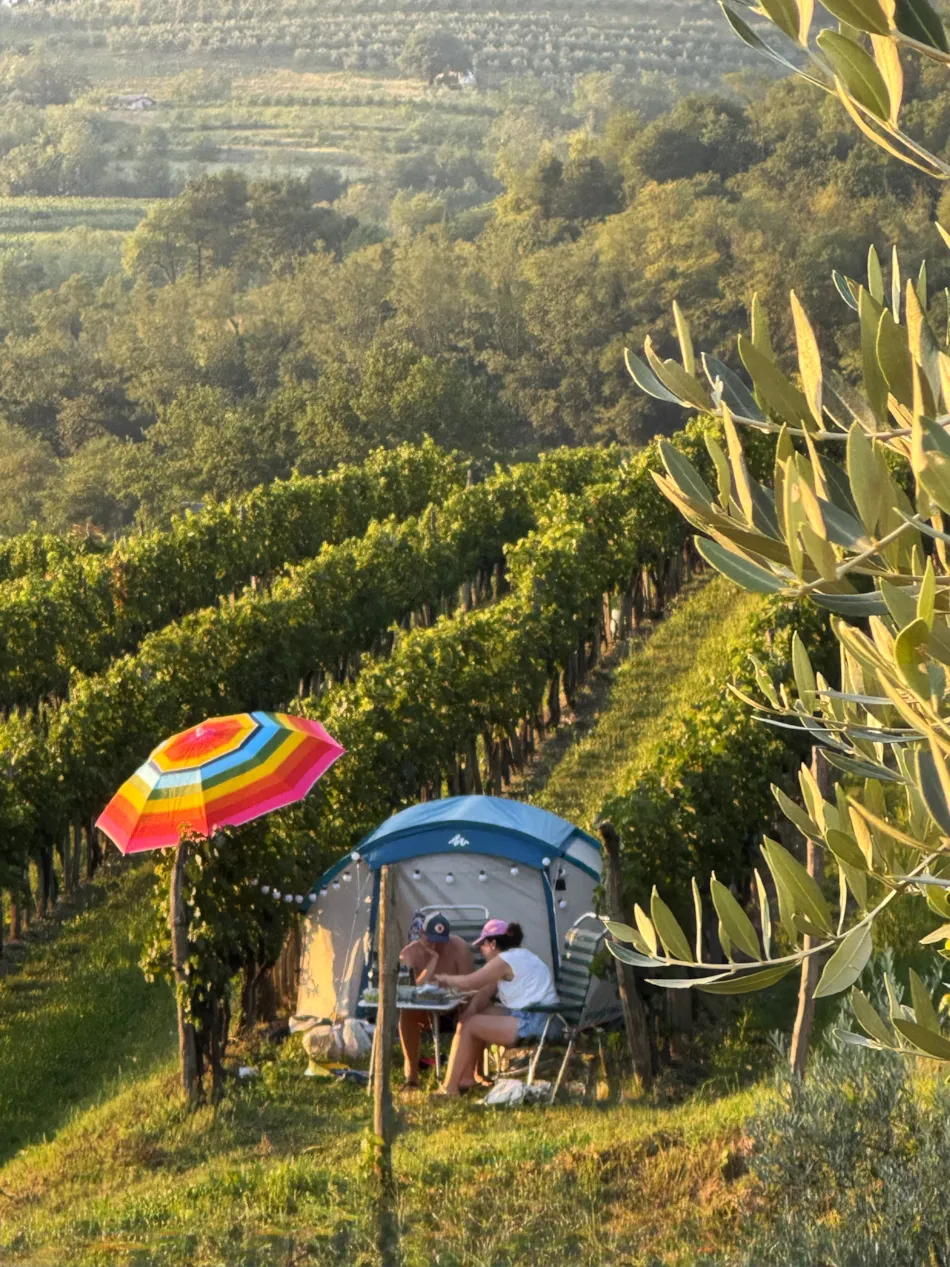 Saxida Wine & Camping Resort