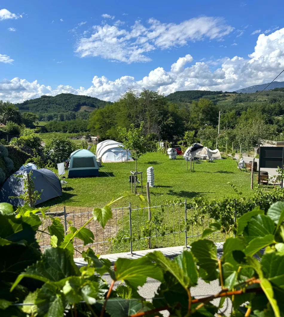 Saxida Wine & Camping Resort