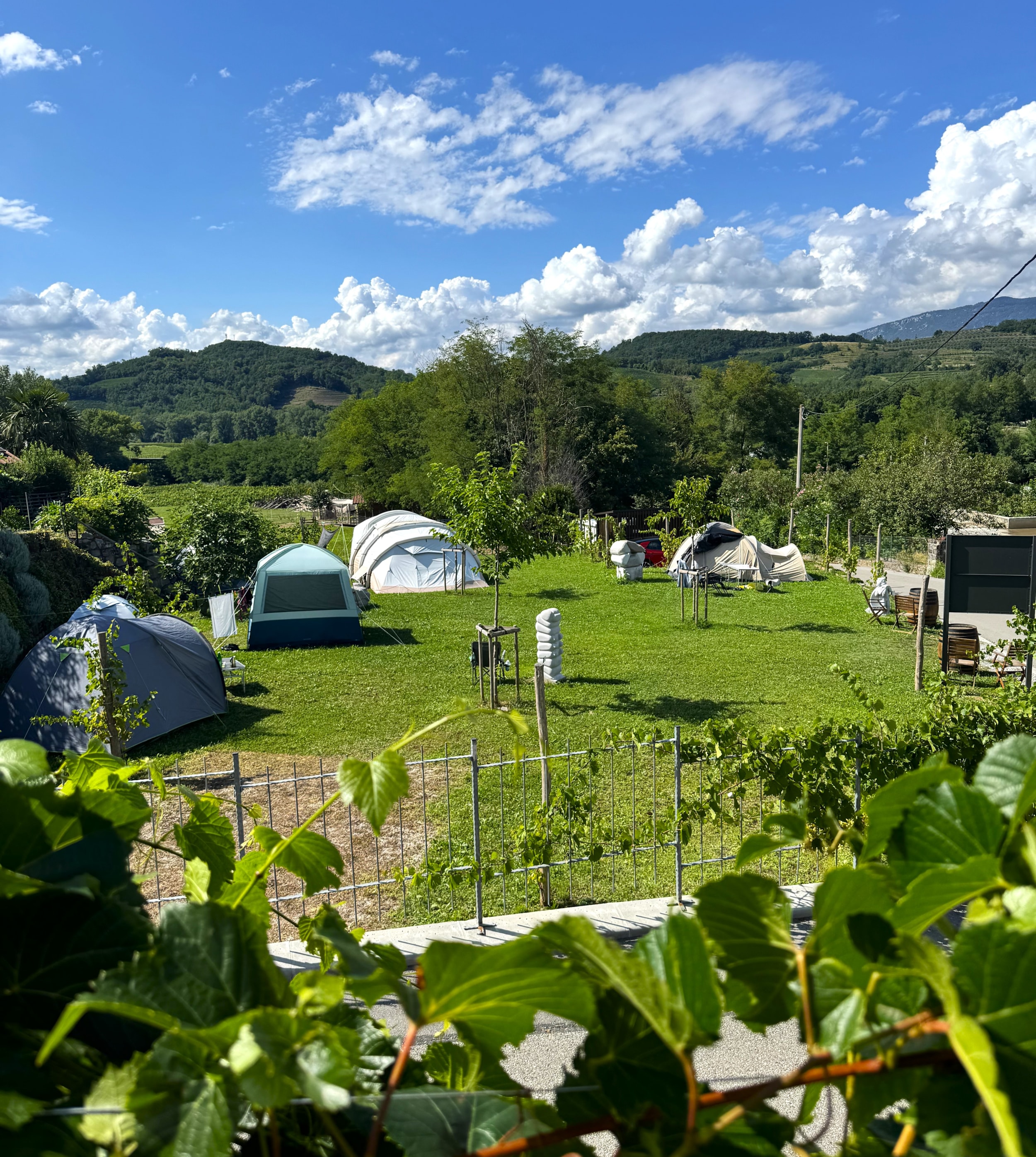 Saxida Wine & Camping Resort — Foto 8