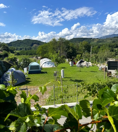 Saxida Wine & Camping Resort
