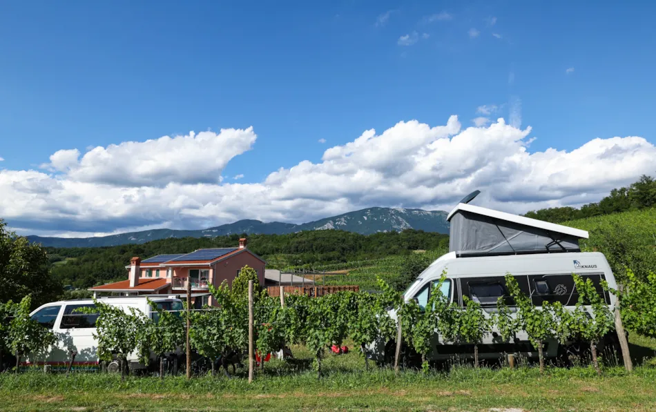 Saxida Wine & Camping Resort