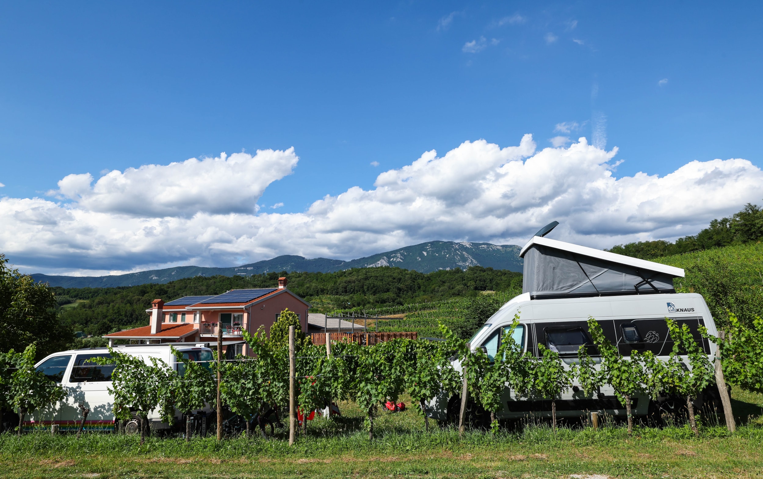 Saxida Wine & Camping Resort — Foto 3