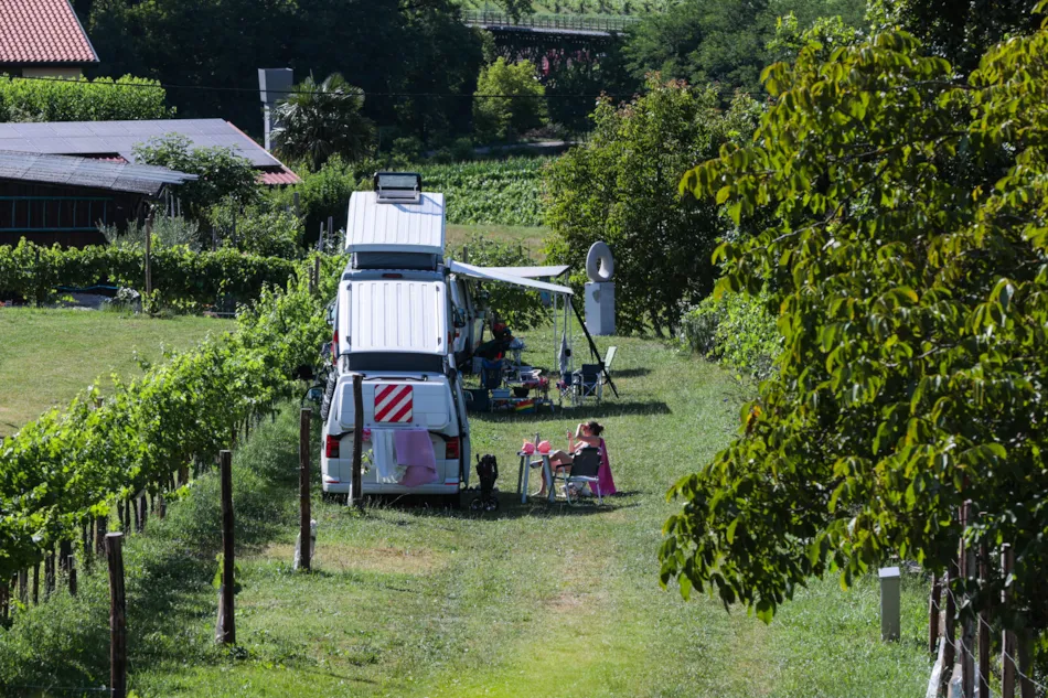 Saxida Wine & Camping Resort