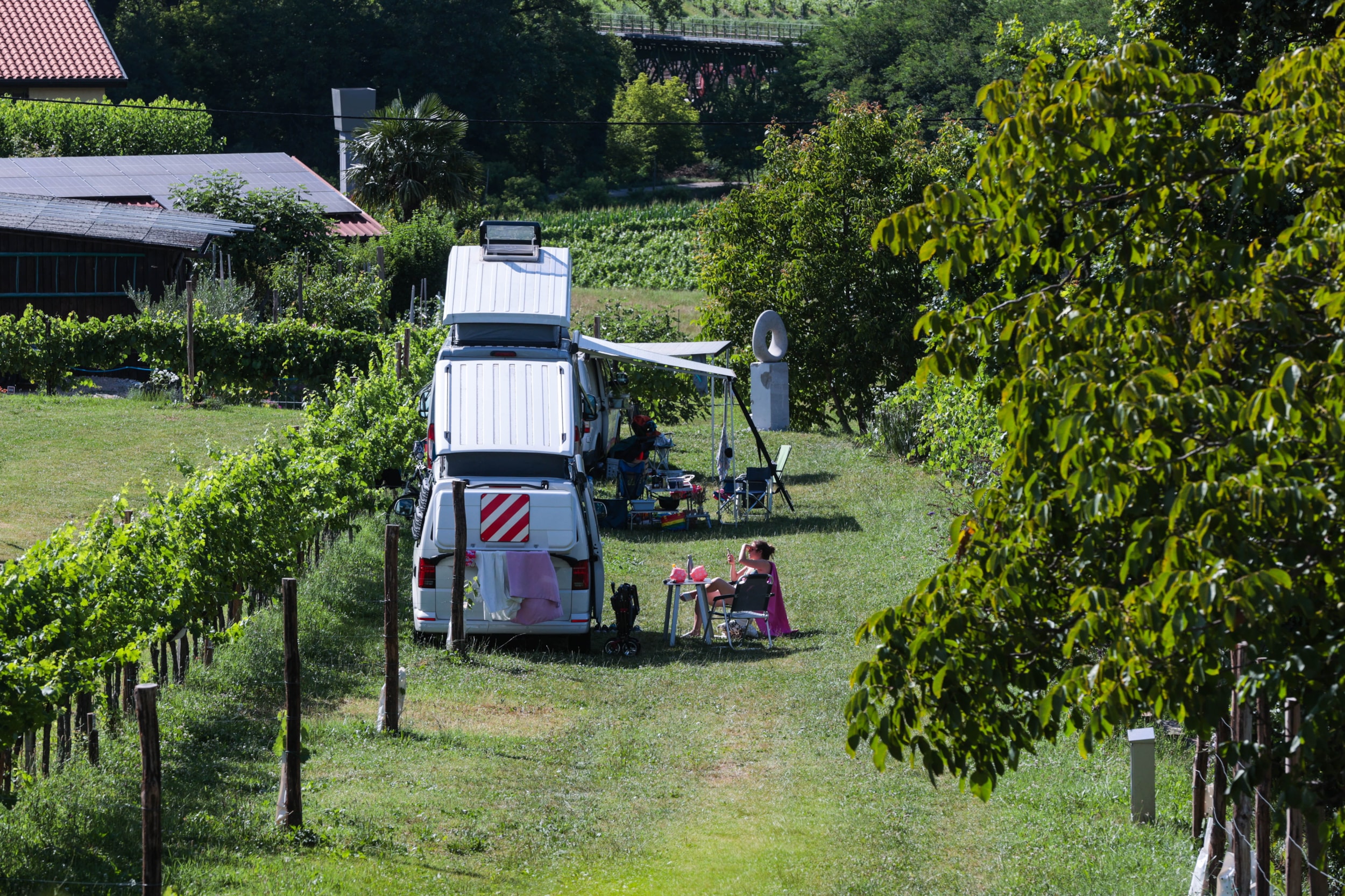 Saxida Wine & Camping Resort — Foto 6