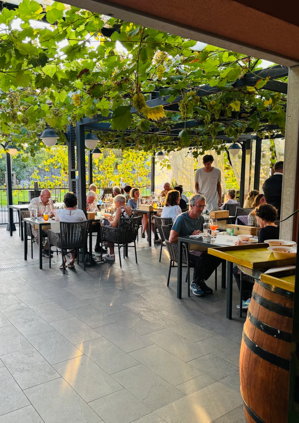 Saxida Wine & Camping Resort - image n°13 - UniversalBooking