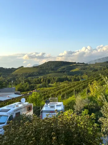 Pitch - Pitch - Saxida Wine & Camping Resort