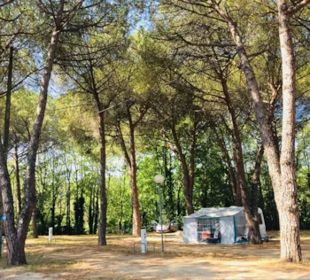 Stellplatz - Pauschale : Stellplatz + Strom - Camping Maureillas