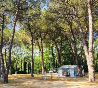 Forfait Piazzola + Elettricità