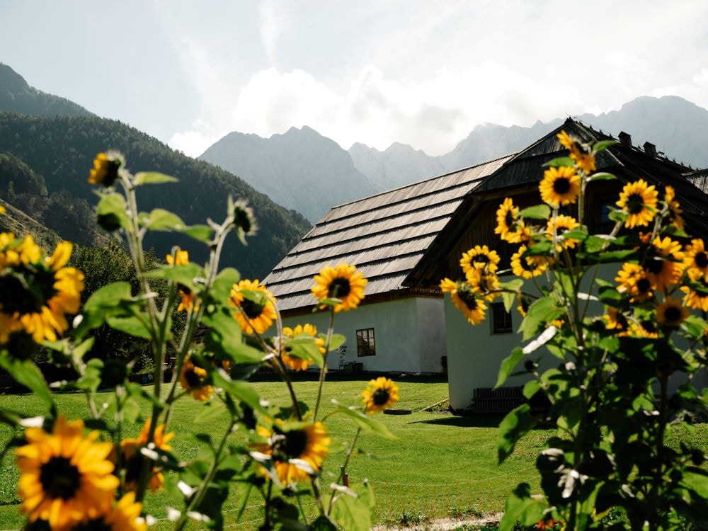 Senk's Homestead — Foto 5