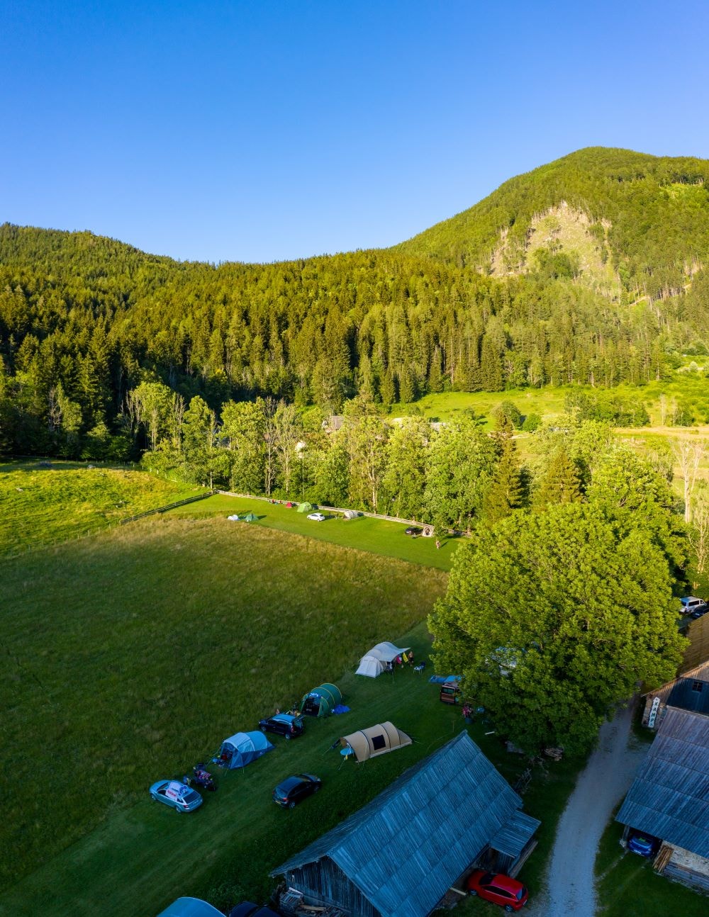 Senk's Homestead — Foto 9