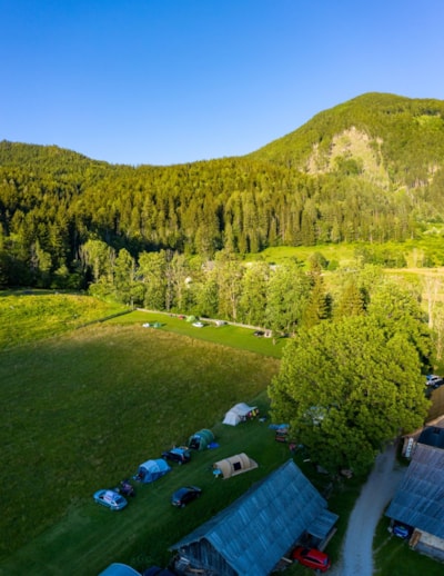 Senk's Homestead