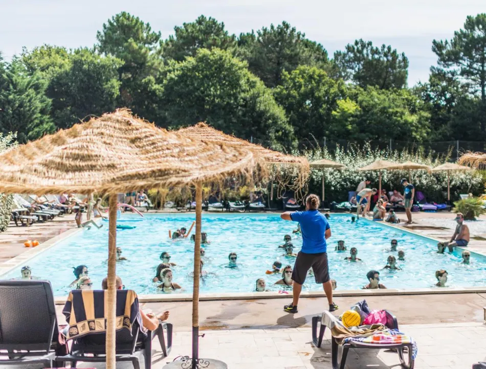 Domaine de la Forge - Sea Green by Sunêlia