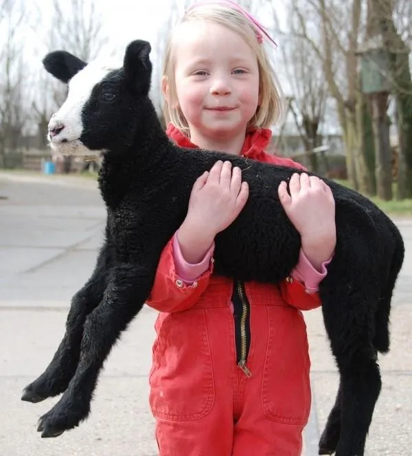 Natuurcamping De Boerderij - image n°3 - UniversalBooking