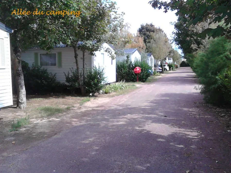 Plein Air Locations - camping Les Tamaris