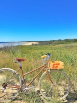 Foto #19 van Plein Air Locations – camping Les Tamaris