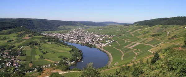 Paradies-Camp - image n°2 - Camping Direct