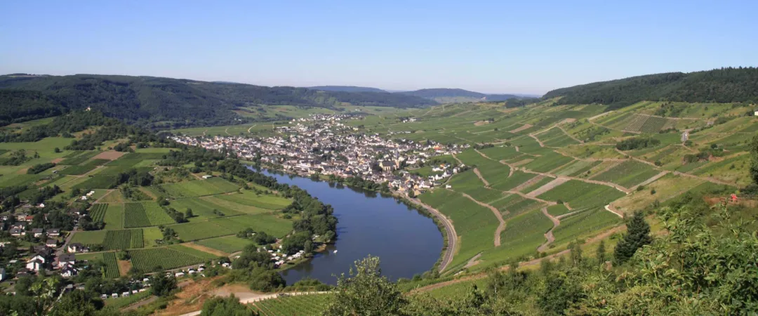 Paradies-Camp - image n°1 - Camping Direct