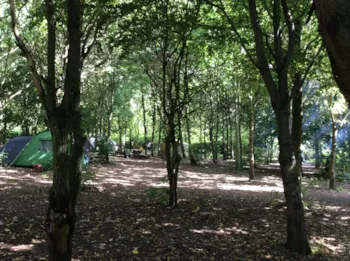 Stellplatz - Simple Stellplatz > (Wasseranschluss / Ohne Strom) - Camping L'Orangerie de Beauregard
