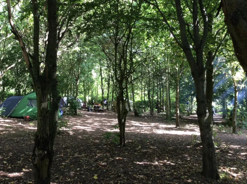 Emplacement Simple > (Eau / Sans Électricité)