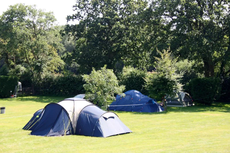 Emplacement Classique > (Eau / Electricité Incluse)