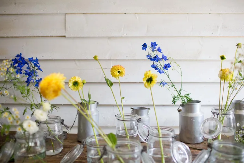 Emplacement Classique > (Eau / Electricité Incluse)