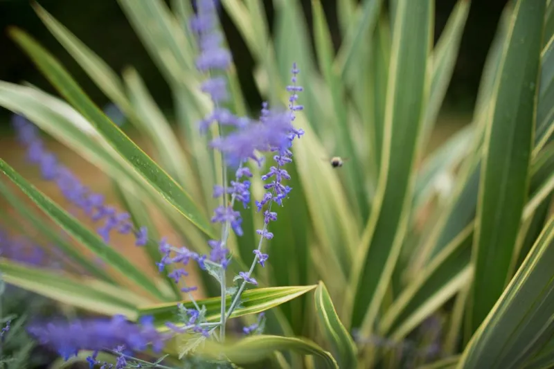 Emplacement Classique Camping Car > (Eau /Electricité Incluse)