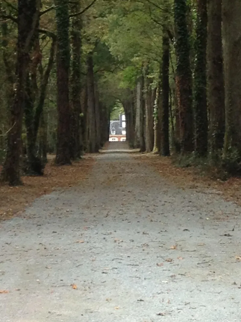 Emplacement Classique Camping Car > (Eau /Electricité Incluse)