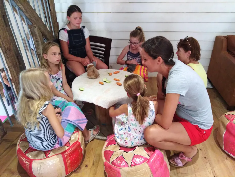 Camping L'Orangerie de Beauregard