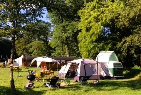 Emplacement - Classique 240 Pergola  > (Eau / Electricité Incluse) - Camping L'Orangerie de Beauregard