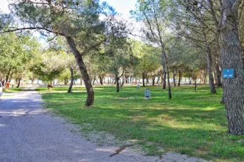 Pitch - Pitch + Electricity - Camping Vransko Jezero Crkvine