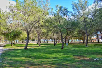 Pitch - Comfort Pitch - Camping Vransko Jezero Crkvine